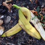 Bananenschillen tegen luizen in je moestuin: de oplossing waar tuincentra zwijgen over