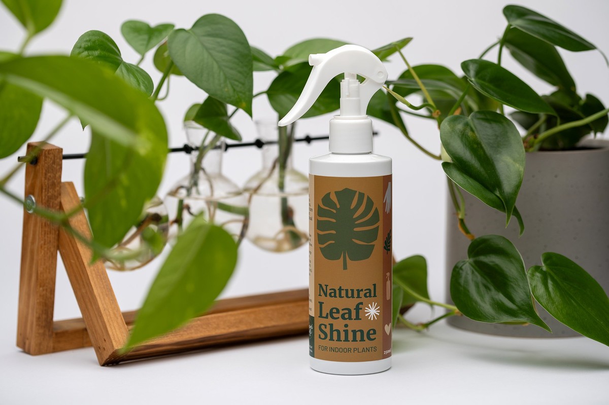 Bananenschillen als natuurlijke bladglans: waarom plantenstylisten dit gebruiken - image 1