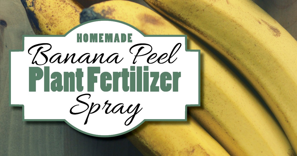 Bananenschillen tegen luizen in je moestuin: de oplossing waar tuincentra zwijgen over - image 2