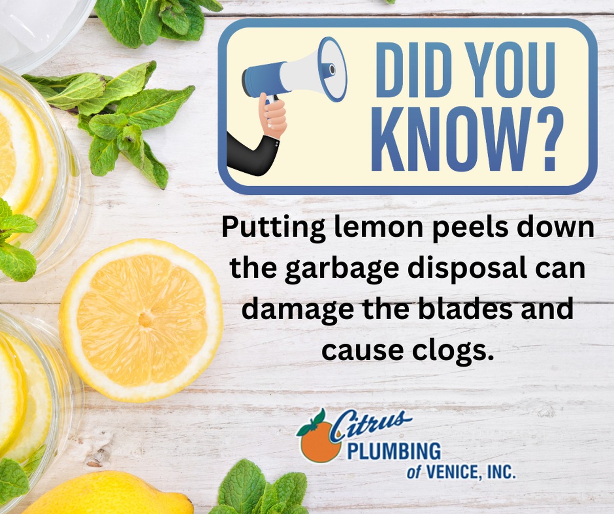 Citroenschil in je afvoer: hoe je geuroblemen in 5 minuten oplost - image 1