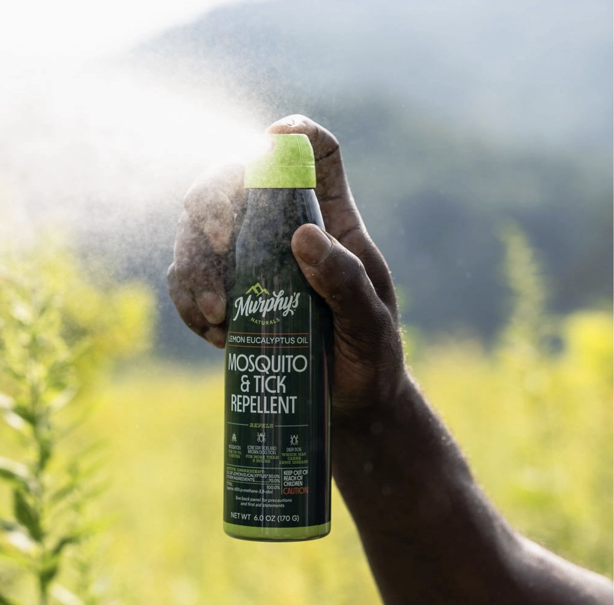 Edamame-schillen tegen muggen – het geheim dat tuincentra niet willen delen - image 1