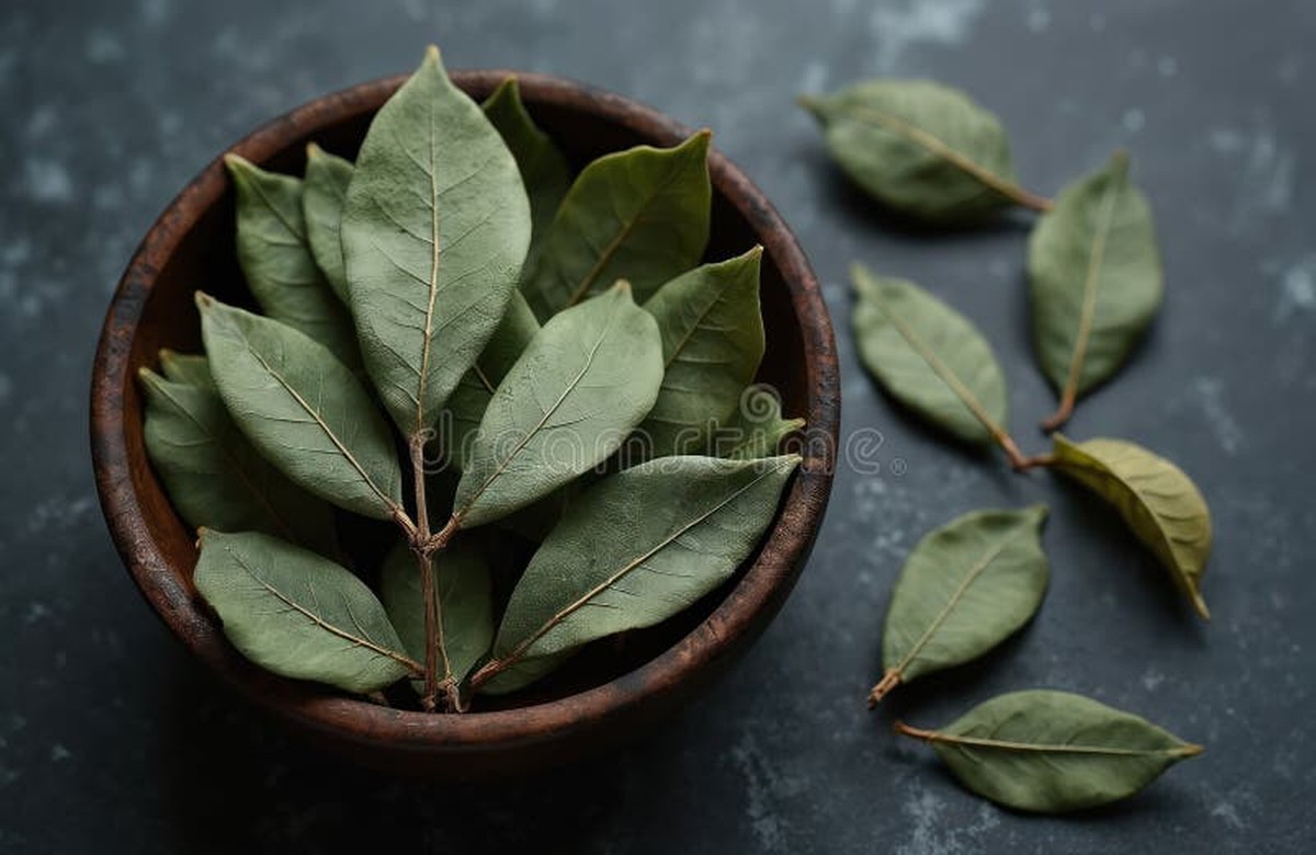 Een laurierblad in je bloem: het 100 jaar oude geheim tegen voedselmoffen - image 1