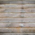 Het geheim van Amsterdamse huizen tegen vocht dit seizoen