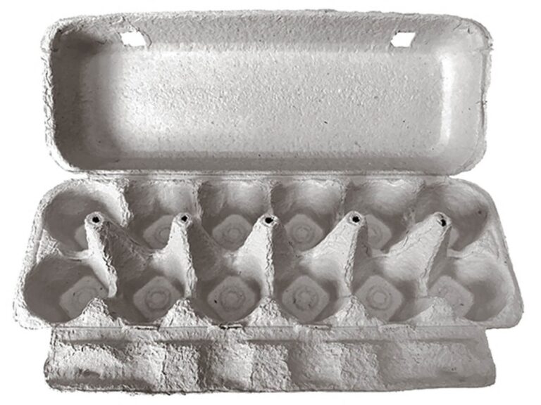 Kartonnen eieren karton onder je planten: de vochttruc die water bespaart