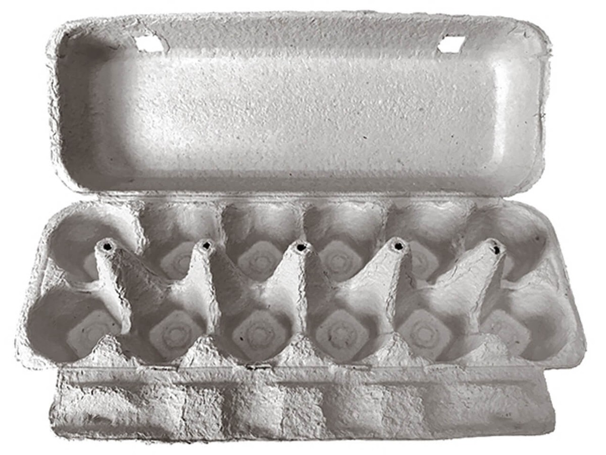 Kartonnen eieren karton onder je planten: de vochttruc die water bespaart