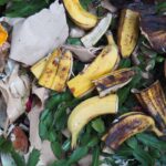 Kokend water met bananenschil: waarom tuinders dit nooit weggooien