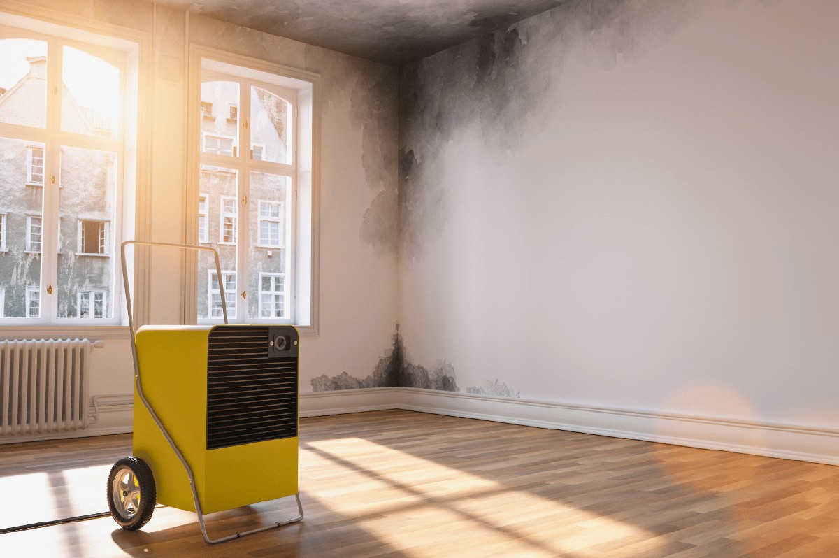 Kranten onder je matrassen: het simpele trucje tegen vochtproblemen - image 1