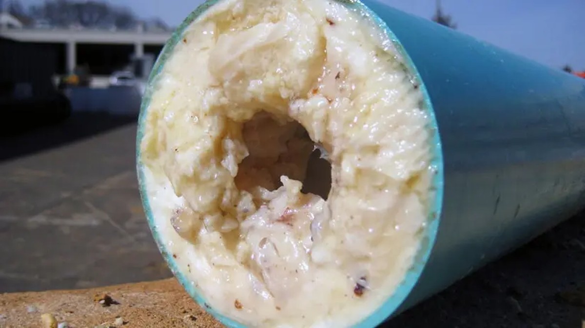 Loodgieters waarschuwen: giet nooit deze olie in je afvoer - image 2