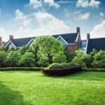 Nederlandse tuiniers doen het anders: de minimalistische tuin trend