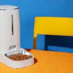 Новая техника меняет жизнь: питание домашних животных проще чем казалось