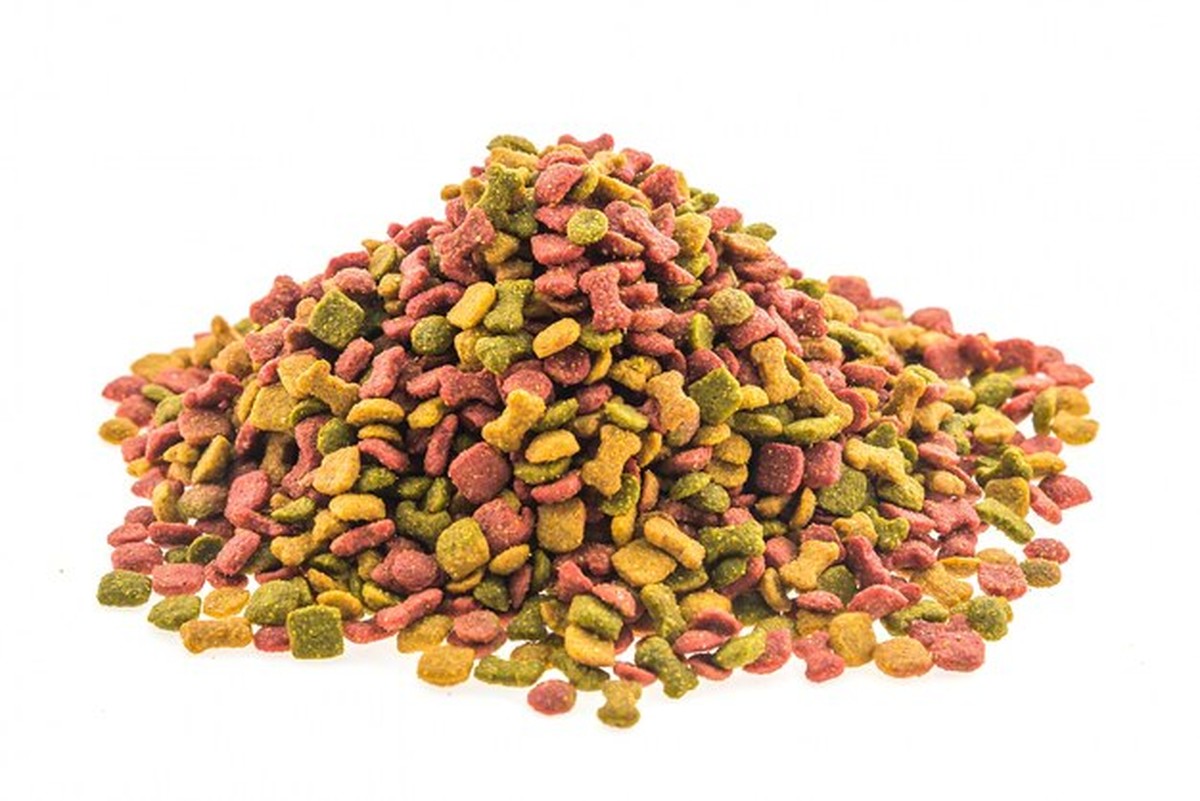 Новая техника меняет жизнь: питание домашних животных проще чем казалось - image 1