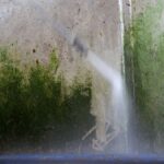 Schimmel in huis? Dit goedkope middel lost het op