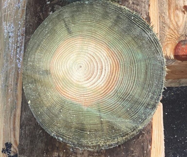 Timmerlieden onthullen: dit hout moet je NOOIT zagen zonder deze voorzorgsmaatregel