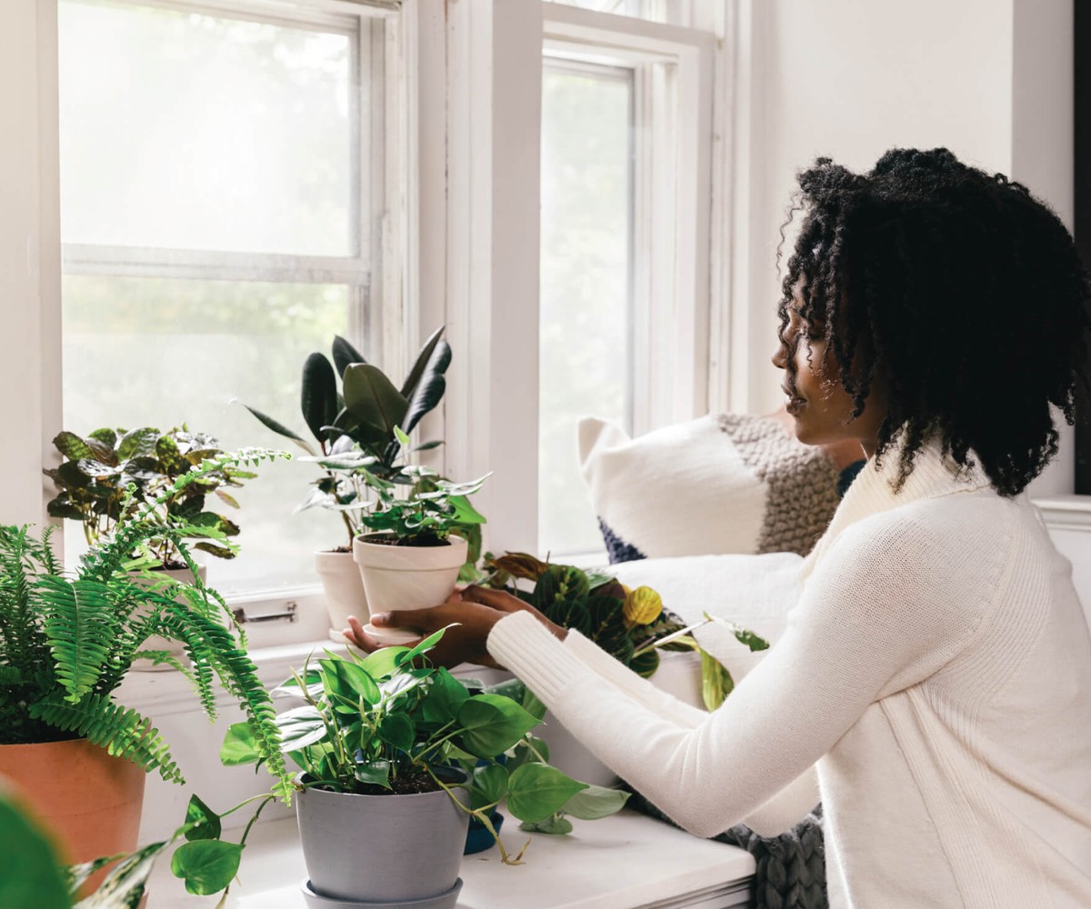 Tuiniers onthullen: waarom je nooit water op je bladeren mag sproeien - image 2