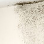 Vochtplekken in huis verdwijnen in 10 minuten met dit