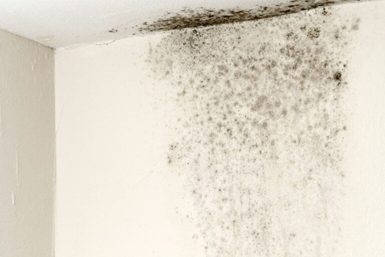 Vochtplekken in huis verdwijnen in 10 minuten met dit