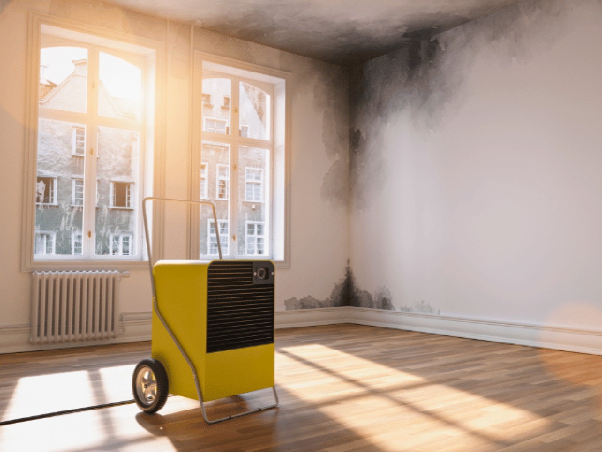 Vochtplekken in huis verdwijnen in 10 minuten met dit - image 2