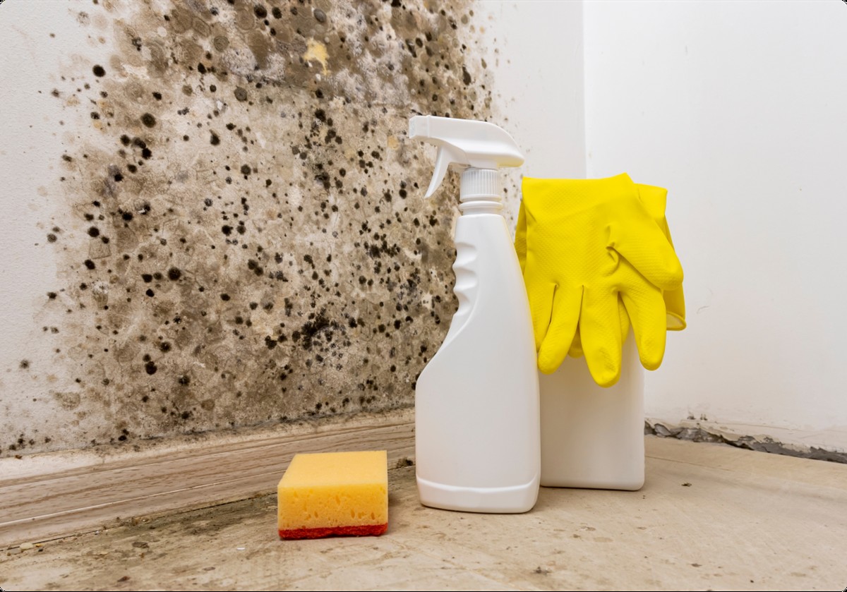 Waardoor je glazen beschimmelen – en hoe tandpasta het stopt - image 2