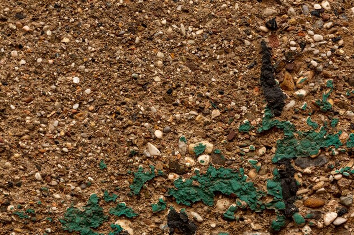 Waarom je huisplanten nu juist doodgaat met veel water - image 2