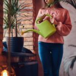 Waarom je je kamerplanten verkeerd giet in de winter