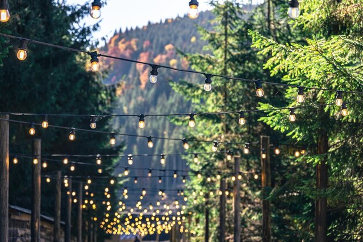 Waarom jouw kerstlampjes altijd stuk gaan: de oplossing - image 1