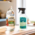 Waarom professionele schoonmakers altijd azijn in het stofzuiger water doen