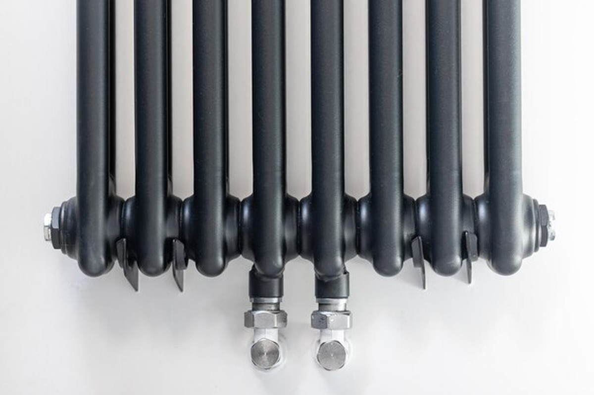 Winterplanten overleven de verwarming: dit trucje maakt het verschil - image 1