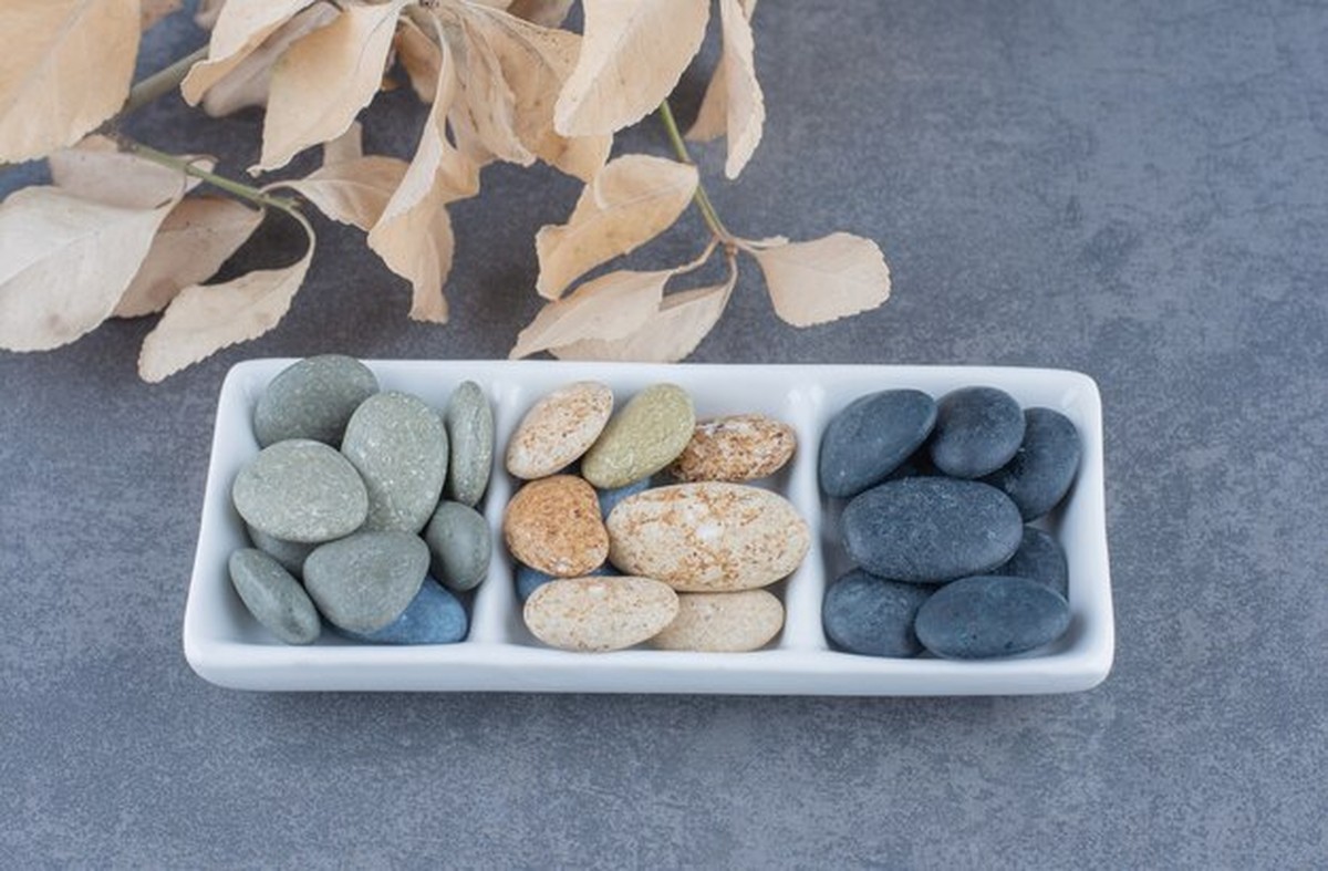 Winterplanten overleven de verwarming: dit trucje maakt het verschil - image 2