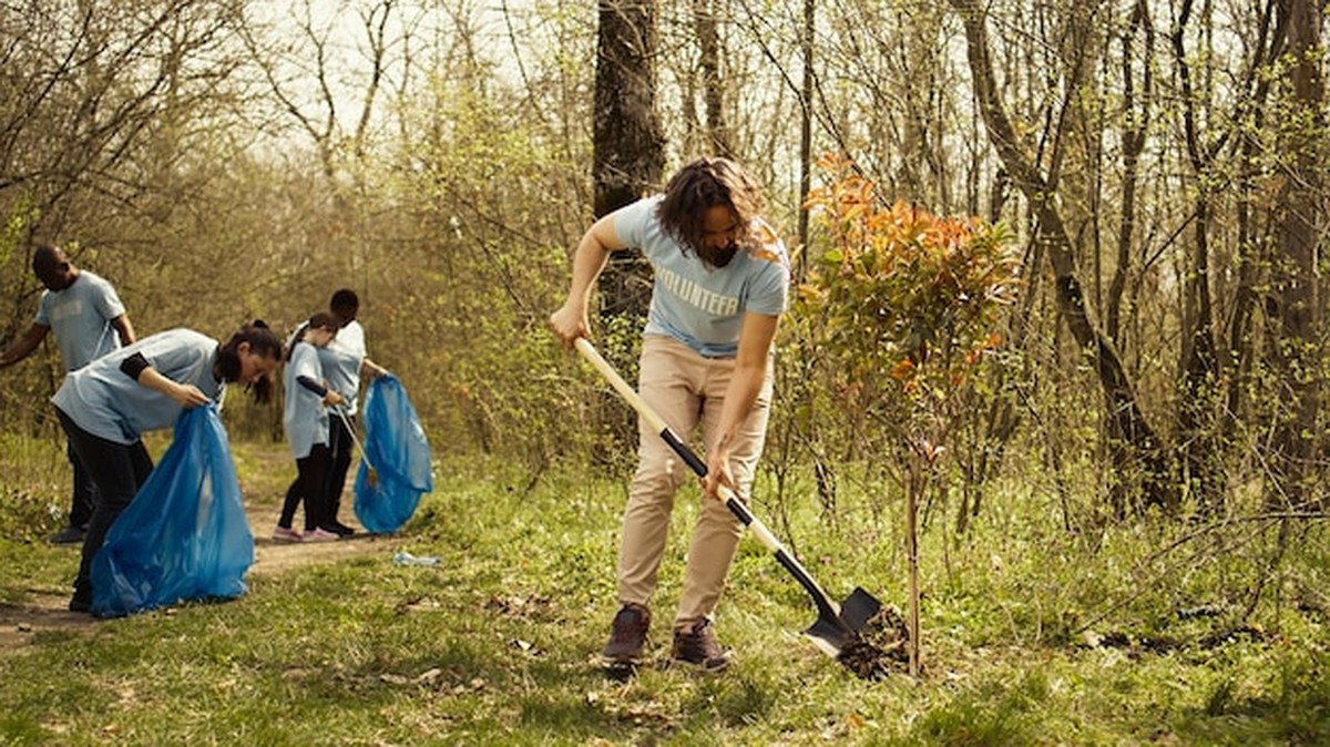 Забудьте о химии: уборка ковра за копейки натуральным средством - image 2
