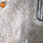 Zout op een nat tapijt: waarom dit het snelste droogt